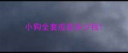 小狗全套疫苗多少钱