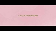 上海打狂犬疫苗的疫苗吗