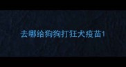 去哪给狗狗打狂犬疫苗