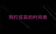 狗打疫苗的时间表