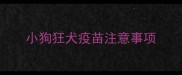 小狗狂犬疫苗注意事项