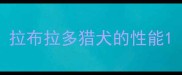拉布拉多猎犬的性能