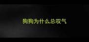 狗狗为什么总叹气