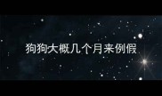 狗狗大概几个月来例假