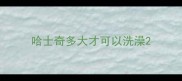 哈士奇多大才可以洗澡
