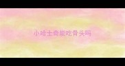 小哈士奇能吃骨头吗