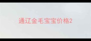 通辽金毛宝宝价格