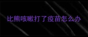 比熊咳嗽打了疫苗怎么办
