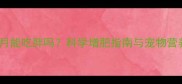 狗狗半个月能吃胖吗科学增肥指南与宠物营养师建议
