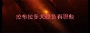 拉布拉多犬颜色有哪些