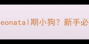 如何科学养护0-15天neonatal期小狗新手必看全攻略附图解