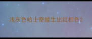 浅灰色哈士奇能生出红棕色
