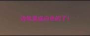 边牧变成白色的了