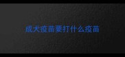 成犬疫苗要打什么疫苗