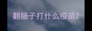 翻肠子打什么疫苗