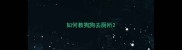 如何教狗狗去厕所
