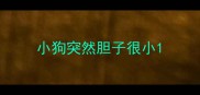 小狗突然胆子很小