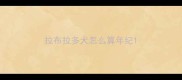 拉布拉多犬怎么算年纪