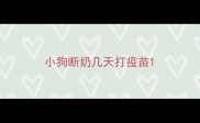 小狗断奶几天打疫苗
