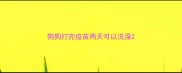 狗狗打完疫苗两天可以洗澡