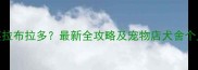 青岛哪里买拉布拉多最新全攻略及宠物店犬舍个人可靠推荐