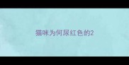 猫咪为何尿红色的