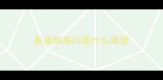 泰迪肩高23是什么体型