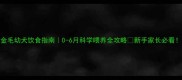 金毛幼犬饮食指南0-6月科学喂养全攻略新手家长必看