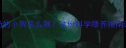 刚断奶的小狗怎么喂这份科学喂养指南请收好