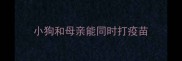 小狗和母亲能同时打疫苗