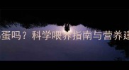 猫咪怀孕能吃鸡蛋吗科学喂养指南与营养建议附食谱