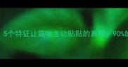 铲屎官必看5个特征让猫咪主动贴贴的真相90的人都做错了