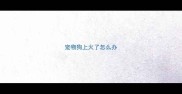 宠物狗上火了怎么办