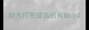 幼犬打完疫苗后有细小