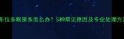 拉布拉多眼屎多怎么办5种常见原因及专业处理方法
