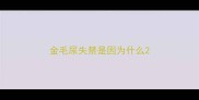 金毛尿失禁是因为什么
