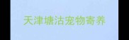 天津塘沽宠物寄养