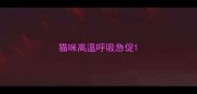 猫咪高温呼吸急促