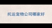 托运宠物公司哪家好