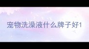 宠物洗澡液什么牌子好