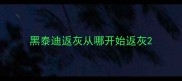 黑泰迪返灰从哪开始返灰