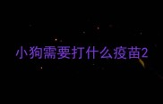 小狗需要打什么疫苗