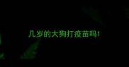 几岁的大狗打疫苗吗