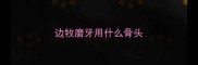 边牧磨牙用什么骨头