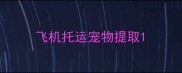 飞机托运宠物提取