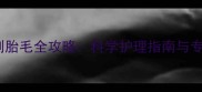 宠物狗剃胎毛全攻略科学护理指南与专业建议