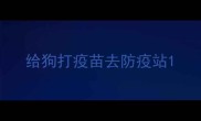 给狗打疫苗去防疫站