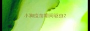 小狗疫苗期间驱虫