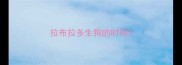 拉布拉多生狗的时间