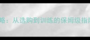 英系拉布拉多饲养全攻略从选购到训练的保姆级指南附最新养护知识
